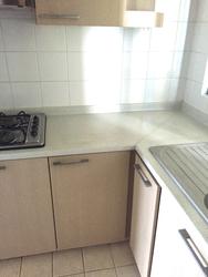 Sanctuary Green (D15), Condominium #71170341